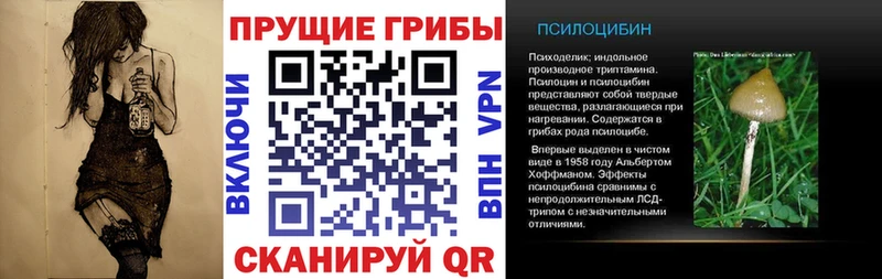 Галлюциногенные грибы мухоморы Петушки
